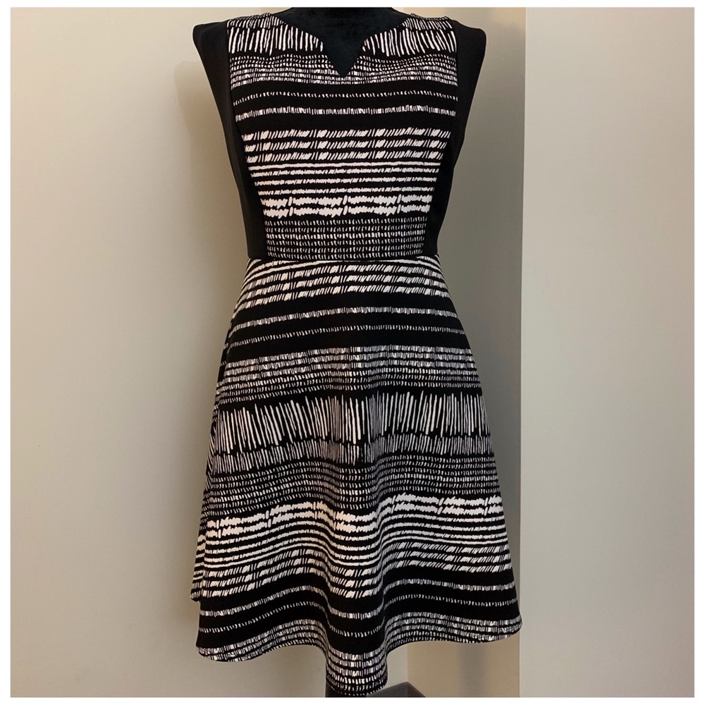 Printed Scuba Dress